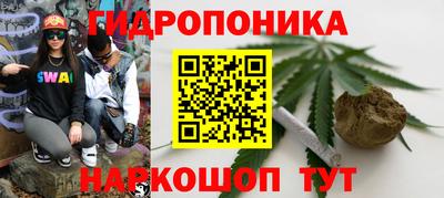 гидропоника Бугуруслан