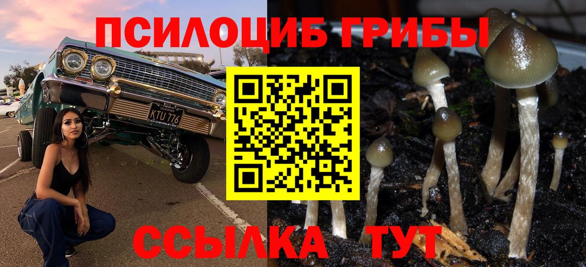 Галлюциногенные грибы Cubensis Соль-Илецк